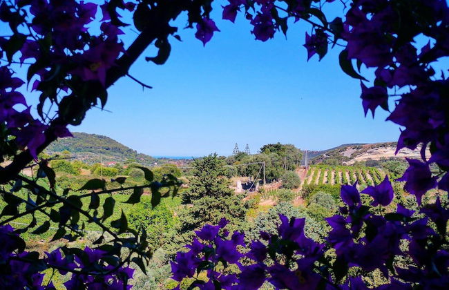 La Tinaia Country House - Photo 73