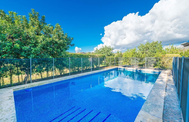 Vista Alegre in Manacor - Photo 2