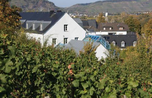 Moseltraum Alte Schmiede - Foto 14