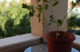 Michael Apartment Tyros - Foto 15