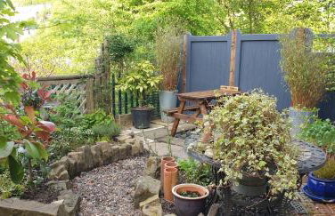 The Cabin - Great Views, Garden, Netflix, Near Town - Photo 16