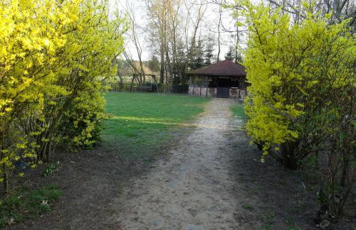 GA Grudzianka - Foto 62