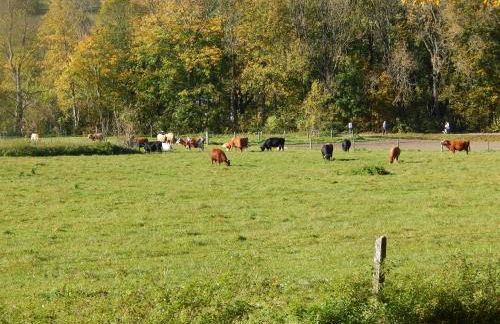 FREE Apartment - Bei den Thermen - Foto 53