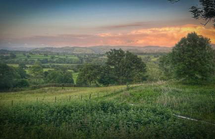 Canad Adar - Song of the Birds - Teifi Valley - Foto 27