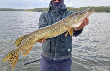 Tiny Haus am Motzener See - Foto 11