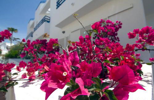 Arto Blanco - Foto 22