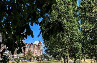 The Blue Door - Photo 12