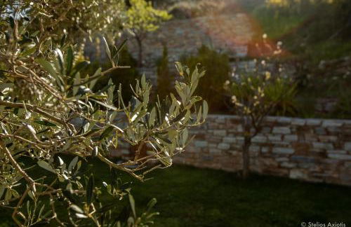 Aegean Panorama Apartments - Foto 44