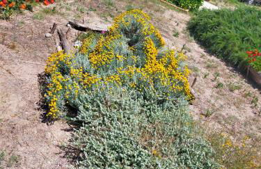 Casa Marina Lu Tuvaraggiu Casa vacanze - Photo 37