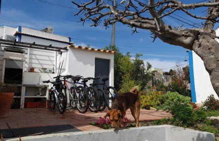 Monte da ti Luzia - Foto 16