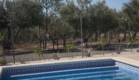 Oasis Pool in the Desert BBQ and Garden - Foto 5, sunbed