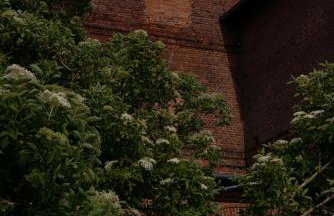 ŻAR - Gorzelnia w Żarnowcu - Foto 2