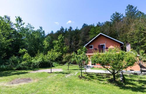 Forest Escape - Foto 21