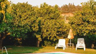 Agriturismo Villa Vittoria - Foto 4, Garden, sunbed, Garden view