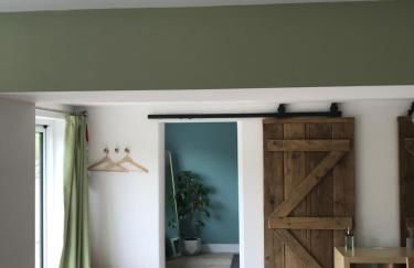 Little Chi - Photo 15