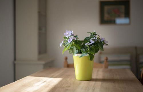 La sosta del pellegrino - Foto 16