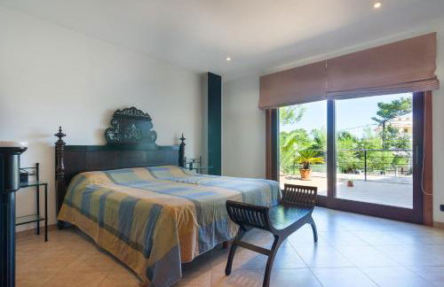 Baulo Pleta - Foto 38