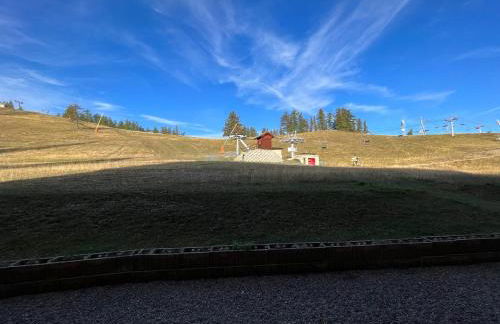 Studio 28m² au pied des pistes, 4 pers, résidence Les Cimes - FR-1-165A-35 - Foto 7