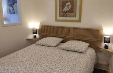 T1 lumineux et climatisé - Foto 9