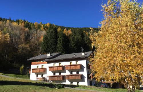 Chalet Del Bosco - Photo 28