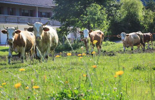 Heutauer Hof - Foto 13