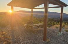 Quinta do Limite - Agroturismo - Foto 33