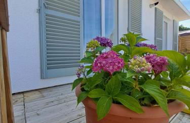 Gites Puy Mary et Puy Griou - Foto 23