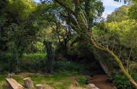 La Maison dans les Bois - Plages 30 min - Foto 28
