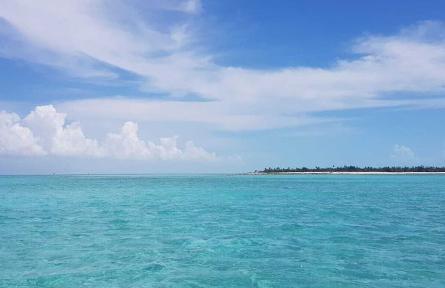 Nature's Delight Lodge - Foto 18