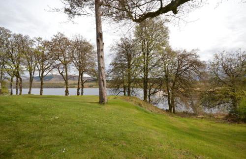 Tall Pines Apartment - Photo 16