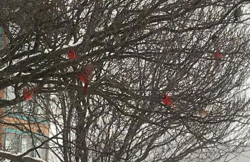 Hudson Riverfront Home - Foto 73