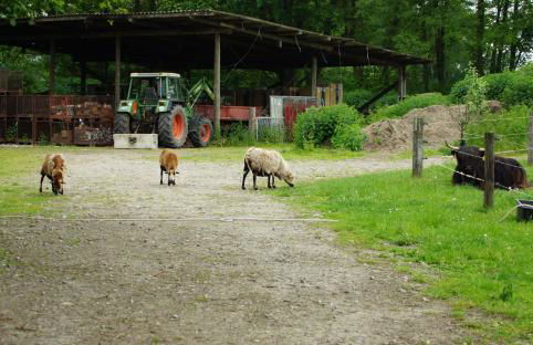 Gästewohnung Hardinghaus am Teich - Foto 33