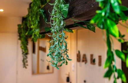 Cocon à Bali - Voyage à Dijon - Foto 8