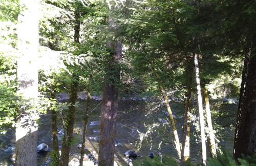 A Relaxing Getaway SolDuc 1 - Foto 36