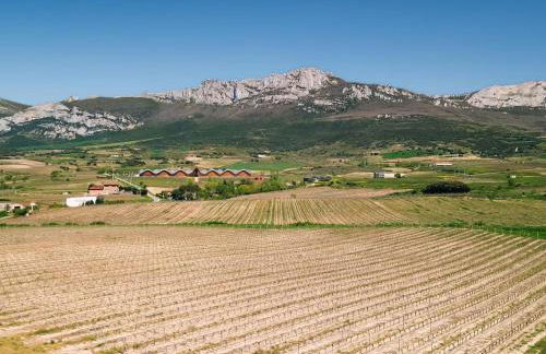 Casa de campo entre viñedos - Photo 32