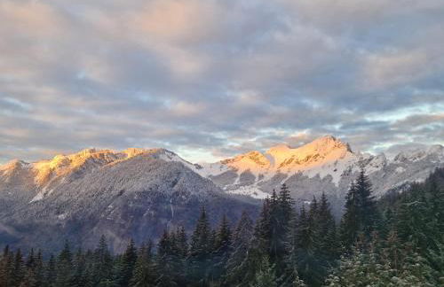 Alpine 1 bed Chalet with beautiful views - Foto 20