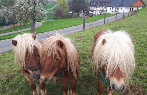 Ferienhof Papiermühle - Foto 7