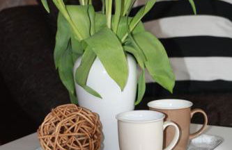 Carpe Diem - Foto 17