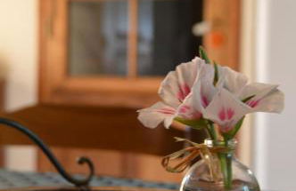 Gîte de charme piscine privée à Martel - Foto 7