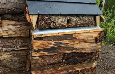 Cabane atypique sur une Île - Foto 43