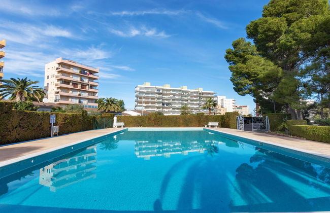 Miami Palace - Foto 16