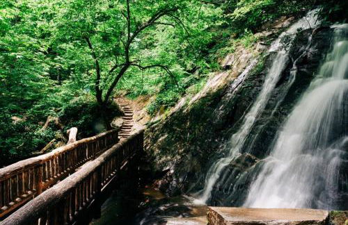 Hidden Star Hideaway-Blackberry Farm-Smoky Mtn Nat Park-Hot Tub- Fire Pit- Fenced Yard- Pet Friendly - Foto 43