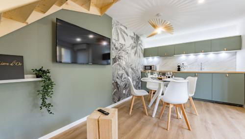 Le Green Duplex - Clim - Parking - Netflix - Nestor & Margot - Foto 5