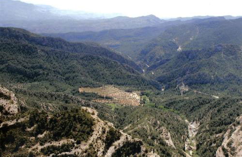 Mas de la Vall del Frare - Foto 50