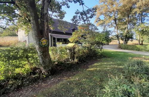 Gite les Vignes du Château - 30 min Beauval - Foto 6