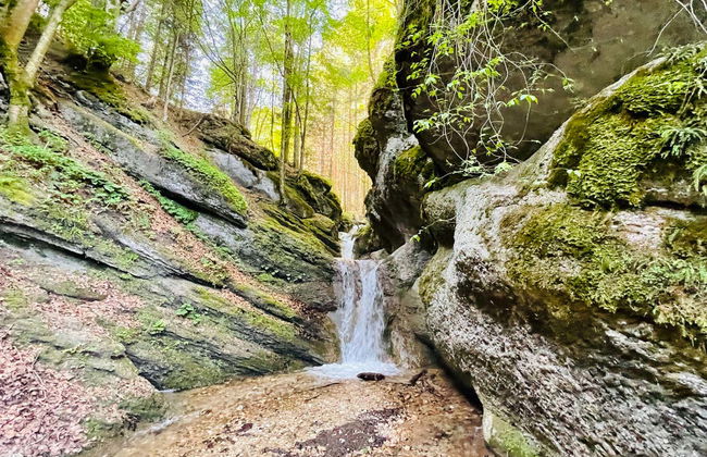 Excursión al cañón de Seven Ladders - Foto 8