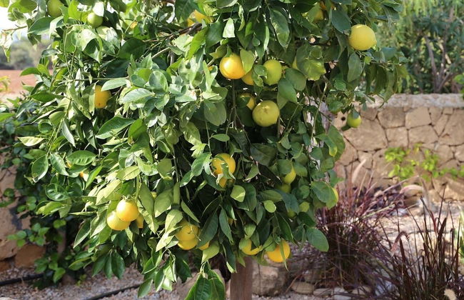 Villa Caterina by Amy Villas - Foto 46