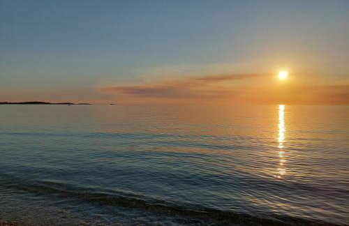 MINT&ROSE - Photo 23