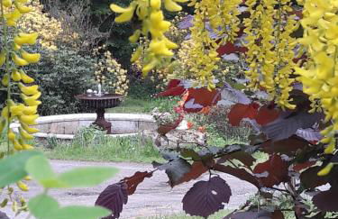 Rapunzel trifft Dornröschen - Foto 13