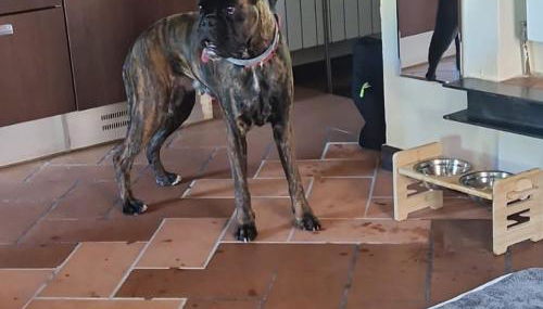 C è posto per te PETFRIENDLY - Foto 5